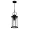 Quoizel Tilmore Mini Pendant 1 Light Matte Black TLM1507MBK - alternate 6